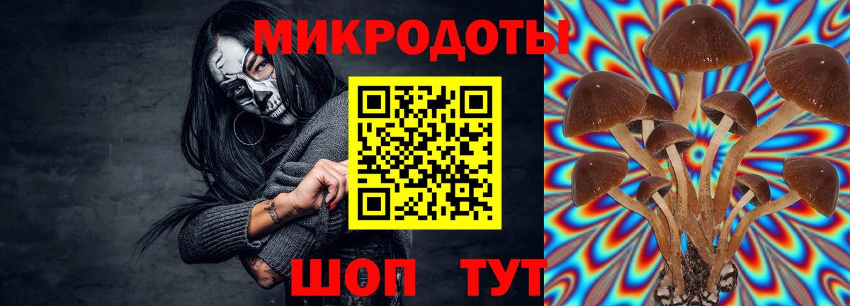 Галлюциногенные грибы мицелий Усолье-Сибирское